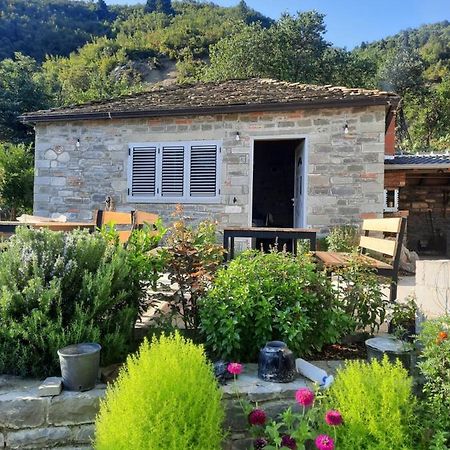 Bujtina Lugina E Vjoses Villa Permet Luaran gambar