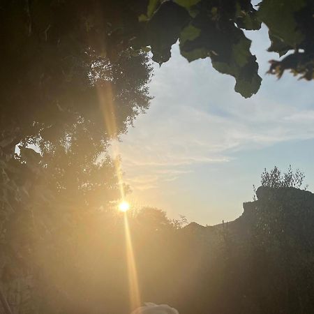 Bujtina Lugina E Vjoses Villa Permet Luaran gambar
