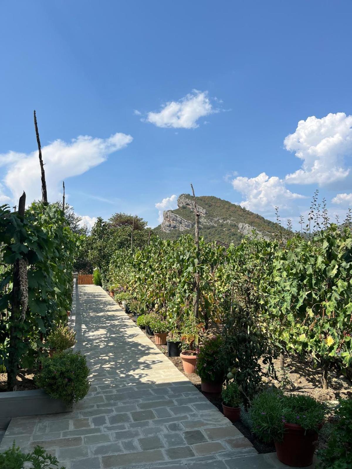 Bujtina Lugina E Vjoses Villa Permet Luaran gambar